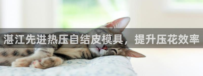 易倍电竞安装教程