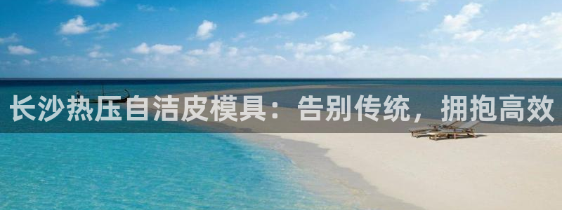 易倍申的包装规格:长沙热压自洁皮模具:告别传统,拥抱高效