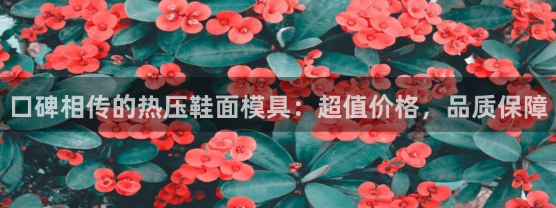 易倍申片说明书