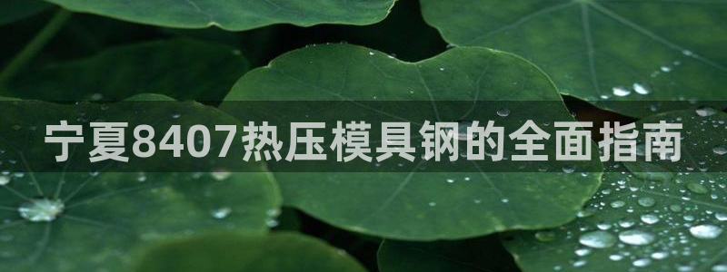 emc易倍在线登录：宁夏8407热压模具钢的全面指南