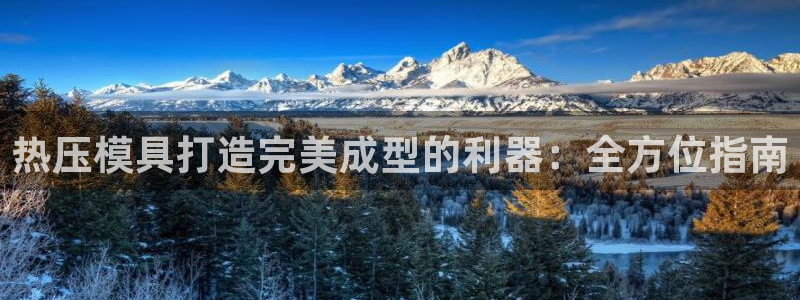 易倍纤谷物粉效果好吗：热压模具打造完美成型的利器：全方位