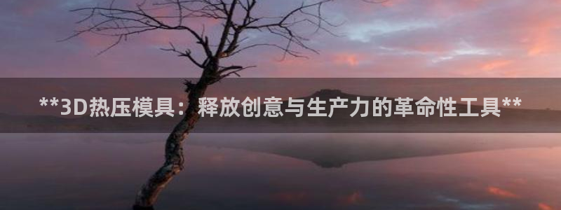 emc倍频干扰怎么解决：**3D热压模具：释放创意与生产