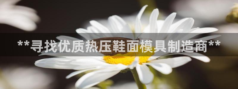 易倍企业管理软件:**寻找优质热压鞋面模具制造商**