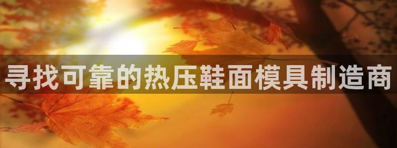 易倍达怎么样:寻找可靠的热压鞋面模具制造商