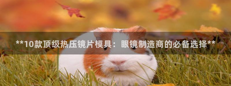 emc全站app下载：**10款顶级热压镜片模具：眼镜制