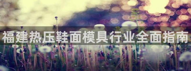 emc易倍最新链接：福建热压鞋面模具行业全面指南