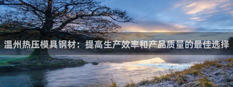 易倍纤减肥反弹不：温州热压模具钢材：提高生产效率和产品质
