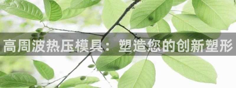 杭州易倍达:高周波热压模具:塑造您的创新塑形