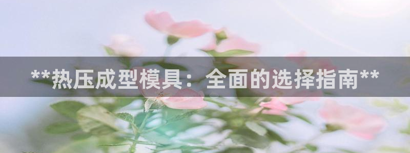 emc平台：**热压成型模具：全面的选择指南**