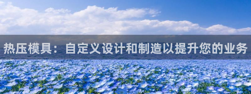 易倍app官网下载安装：热压模具：自定义设计和制造以提升