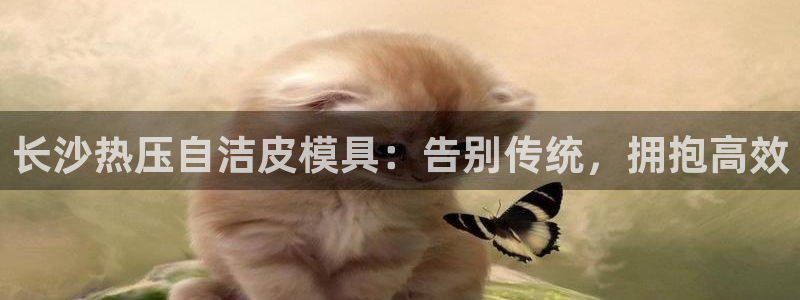 emc频率：长沙热压自洁皮模具：告别传统，拥抱高效