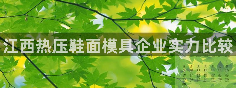 易倍网络技术有限公司官网