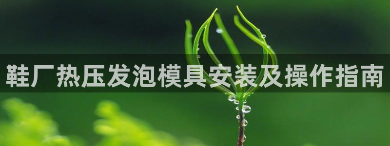 emc易贝体育怎么样：鞋厂热压发泡模具安装及操作指南