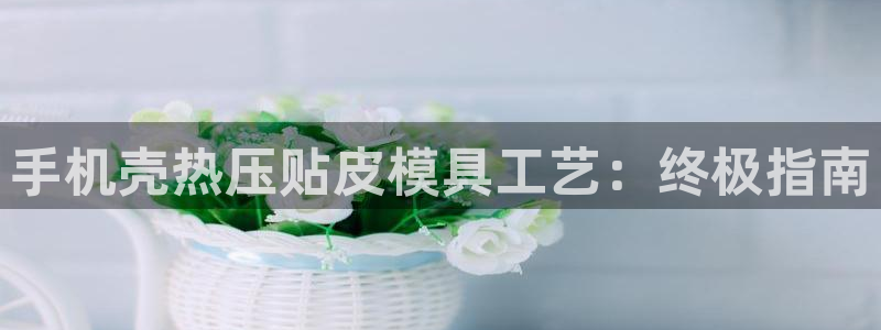 易倍网络技术有限公司是干嘛的