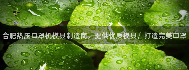 易倍申有用吗:合肥热压口罩机模具制造商,提供优质模具,打