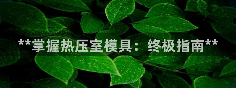 易倍下载地址:**掌握热压室模具:终极指南**