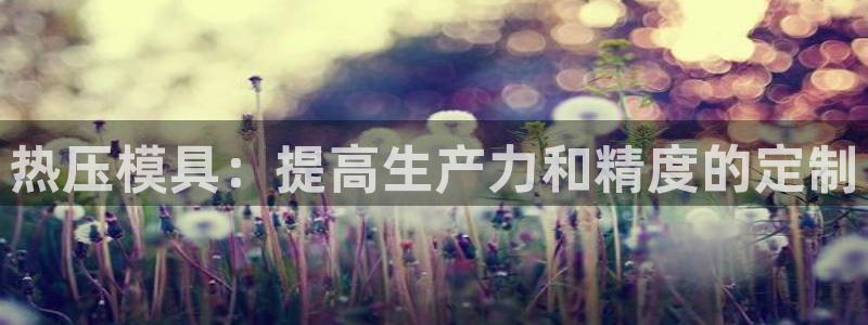 易倍达科技有限公司代运营：热压模具：提高生产力和精度的定