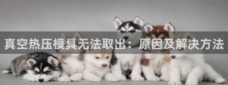 emc易倍官网首页