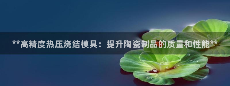 emc易倍老板：**高精度热压烧结模具：提升陶瓷制品的质