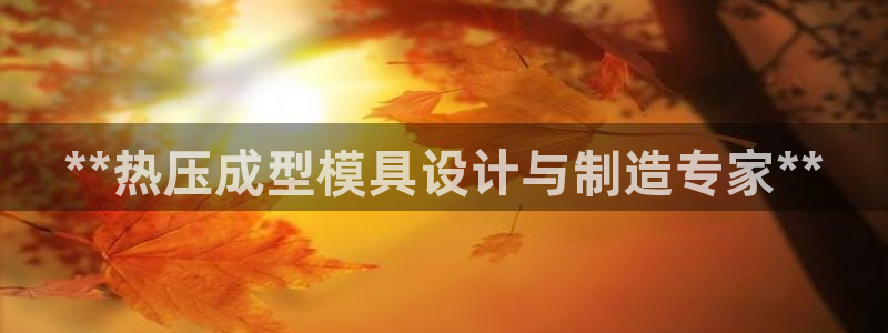 易倍申每盒价格是多少?：**热压成型模具设计与制造专家*