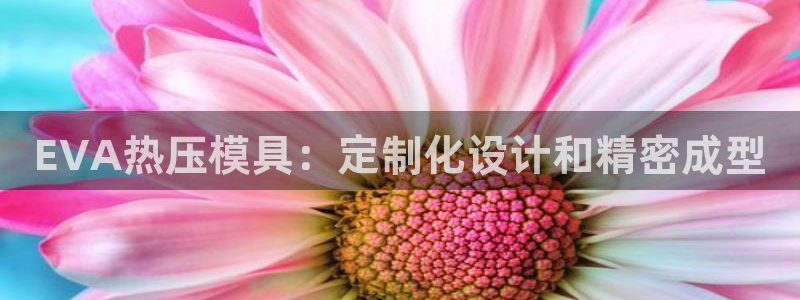 易倍网络技术有限公司招聘:EVA热压模具:定制化设计和精