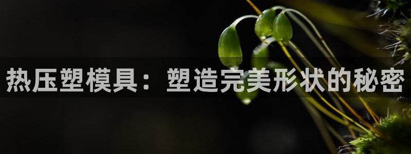 北京易倍思教育怎么样