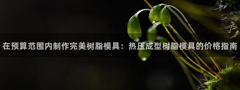 易倍电竞：在预算范围内制作完美树脂模具：热压成型树脂模具