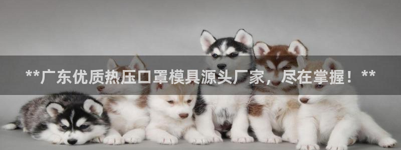 易倍纤瘦身三部曲的价格