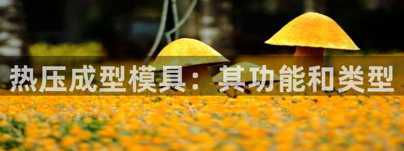 易倍申服用方法