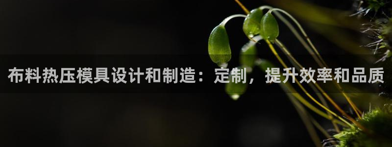 易倍申多少钱：布料热压模具设计和制造：定制，提升效率和品