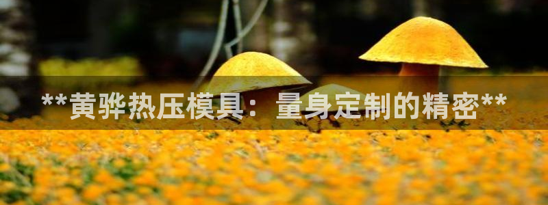 emc平台：**黄骅热压模具：量身定制的精密**