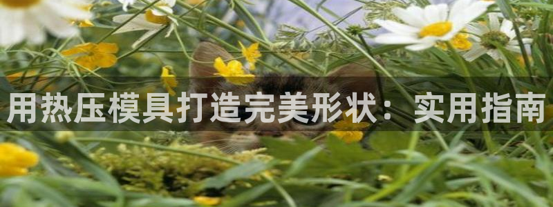 emc易倍官网app官网