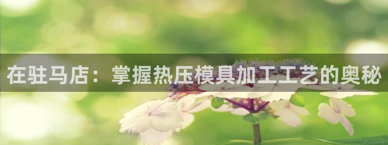易倍纤奶昔减肥效果怎么样：在驻马店：掌握热压模具加工工艺