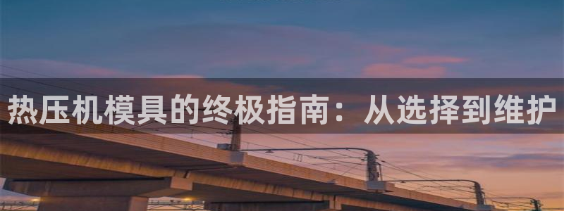 易倍达科技有限公司代运营：热压机模具的终极指南：从选择到