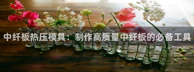 易倍单词登录网站：中纤板热压模具：制作高质量中纤板的必备