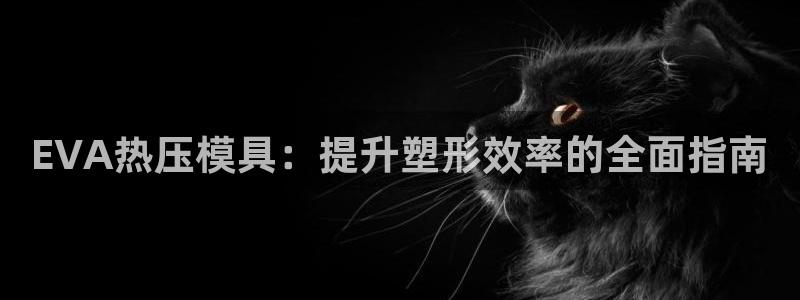 北京易倍思教育科技有限公司：EVA热压模具：提升塑形效率