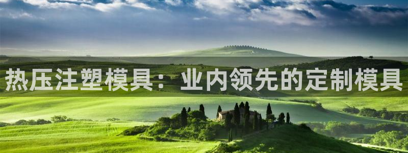 易倍纤奶昔减肥效果怎么样:热压注塑模具:业内领先的定制模