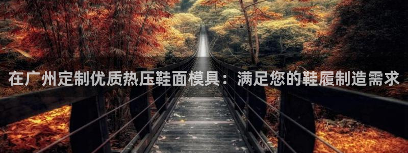 emc倍频只能是奇数倍吗：在广州定制优质热压鞋面模具：满