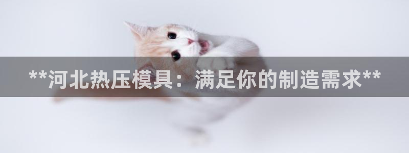 emc易倍老板