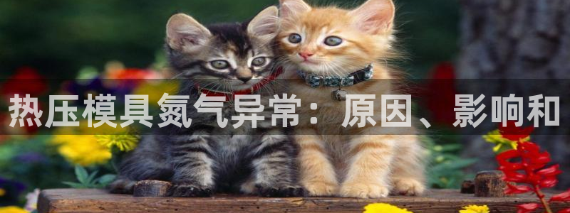 易倍申的价格：热压模具氮气异常：原因、影响和