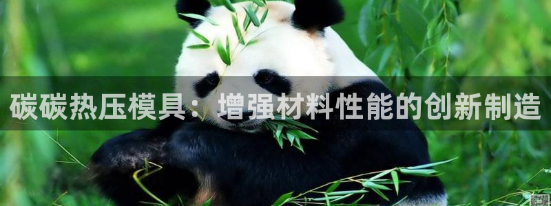 emc全站下载地址：碳碳热压模具：增强材料性能的创新制造