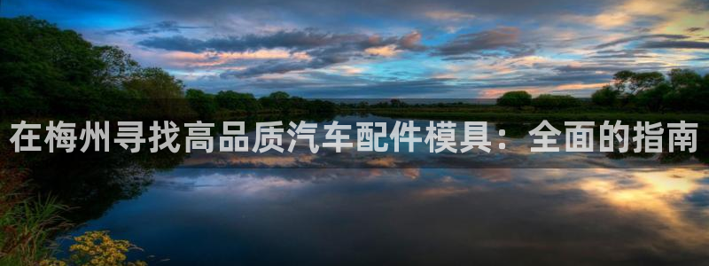 易倍企业管理软件:在梅州寻找高品质汽车配件模具:全面的指