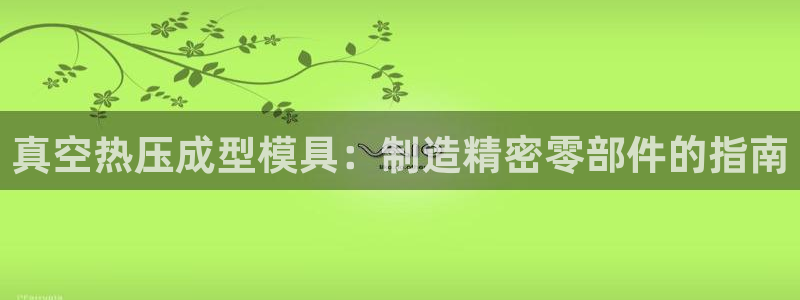 emc易倍官网app下载：真空热压成型模具：制造精密零部