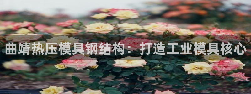 易倍纤使用方法:曲靖热压模具钢结构:打造工业模具核心