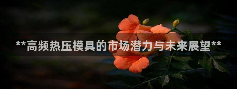 易倍纤减肥反弹不:**高频热压模具的市场潜力与未来展望*