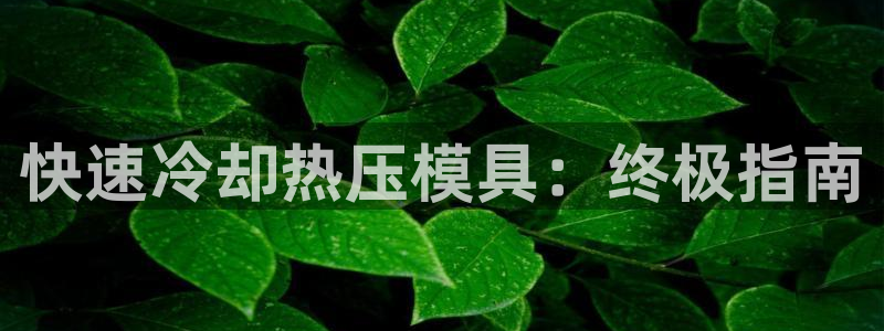 易倍达科技有限公司招聘:快速冷却热压模具:终极指南