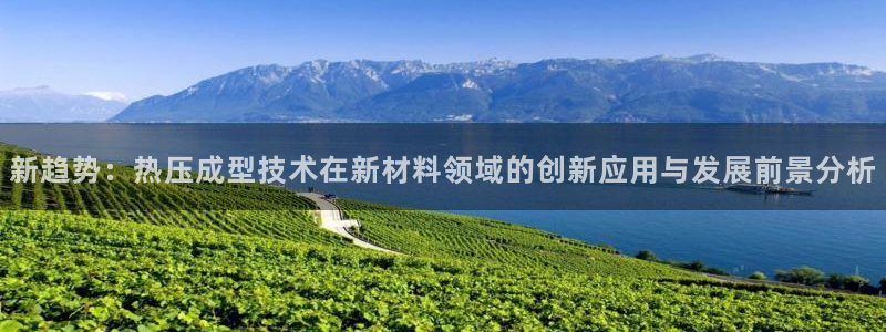 易倍申是进口药吗:新趋势:热压成型技术在新材料领域的创新