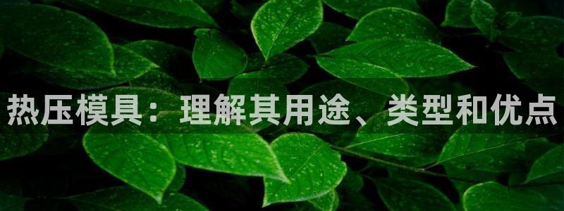 易倍康简历