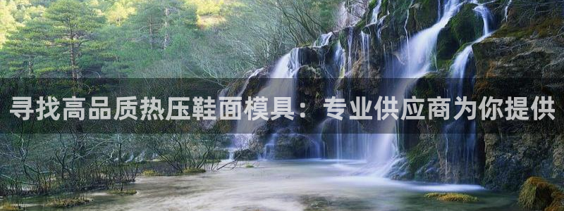 emc 倍频：寻找高品质热压鞋面模具：专业供应商为你提供