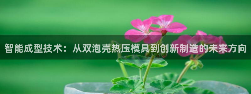 杭州易倍达上班怎么样：智能成型技术：从双泡壳热压模具到创